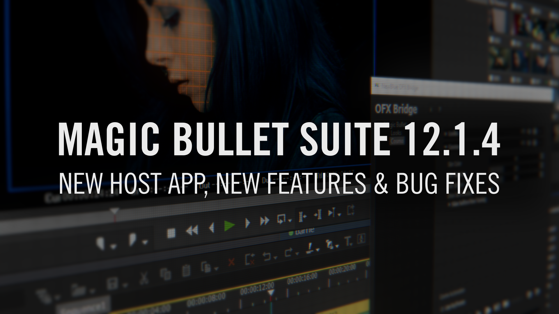 Magic bullet suite 12 mac download windows 10